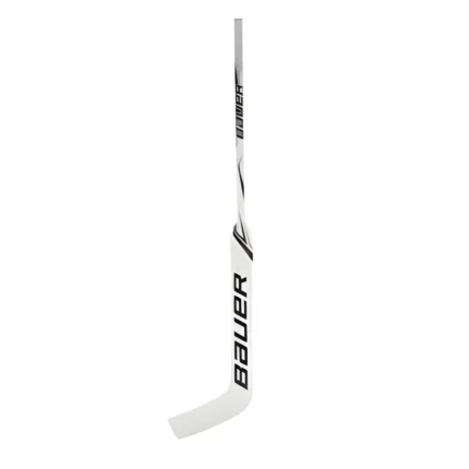 GSX Prodigy goal stick