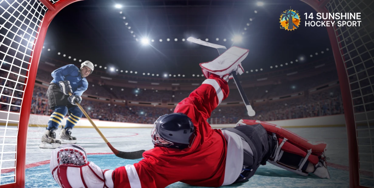 Ice hockey skates in Dubai