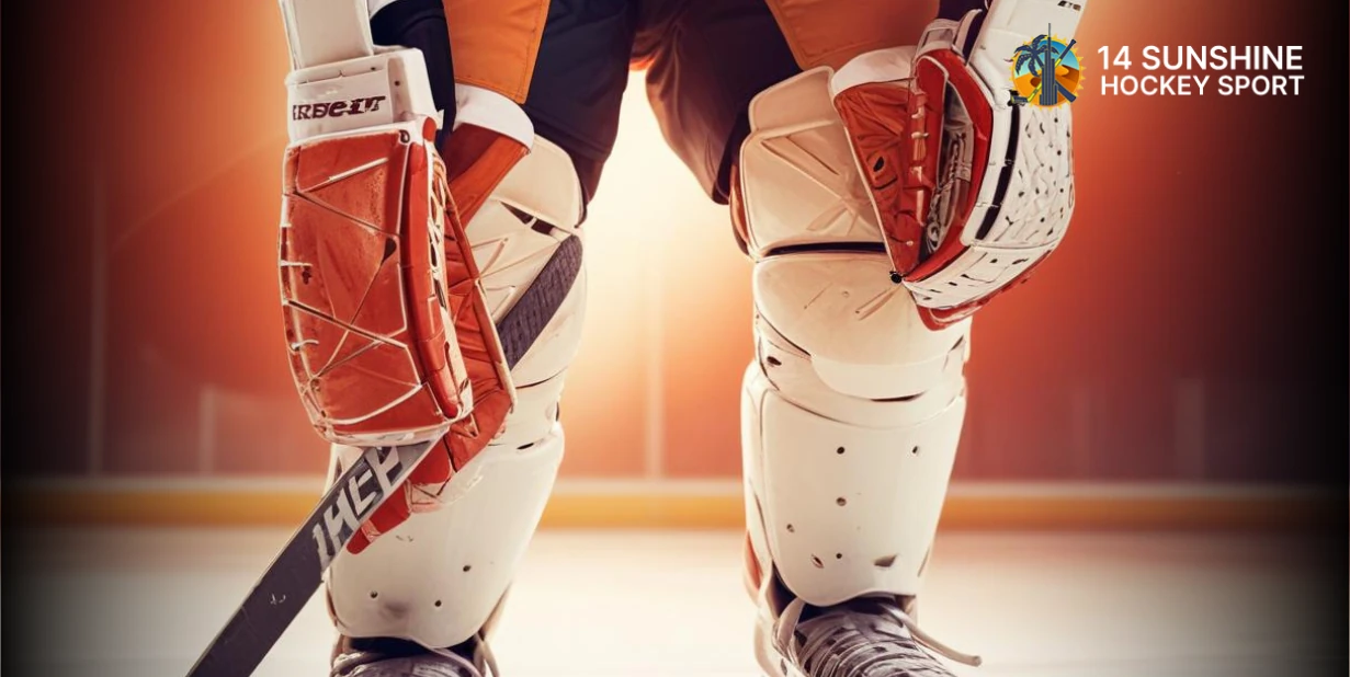 Hockey Shin Guards