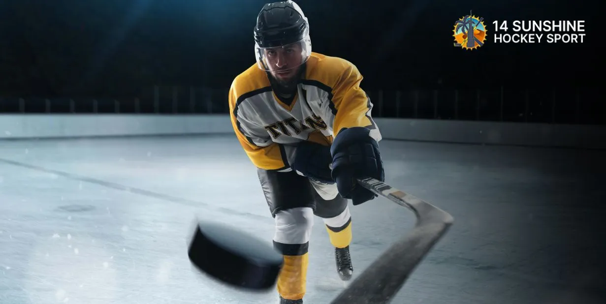 Ice Hockey Skates in Dubai