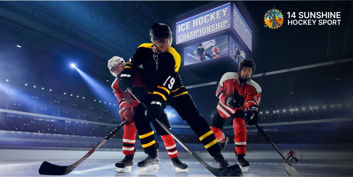 Top Ice Hockey Brands