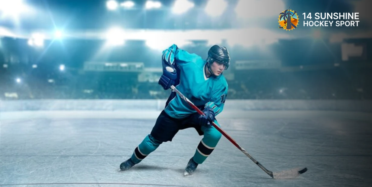 Ice Skates in Dubai