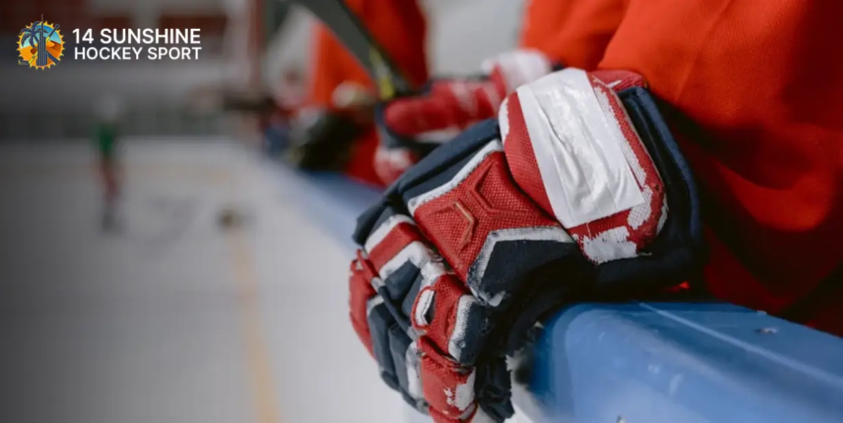 Ice Hockey Gloves
