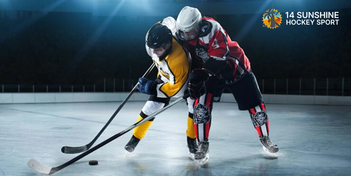 Why Ice Hockey Is The Hardest Sport