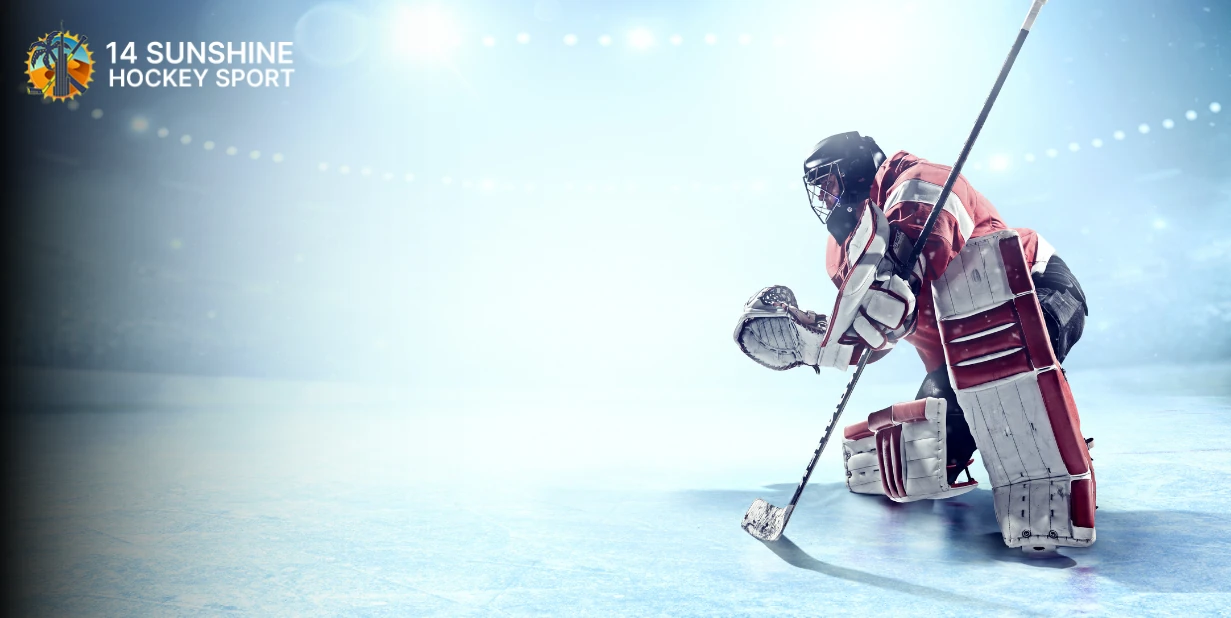 ice hockey gear