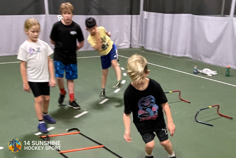 off ice hockey training