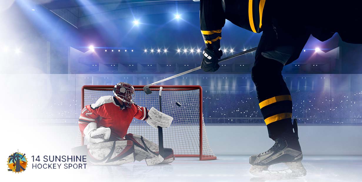 Common Ice Hockey Injuries and How to Prevent Them